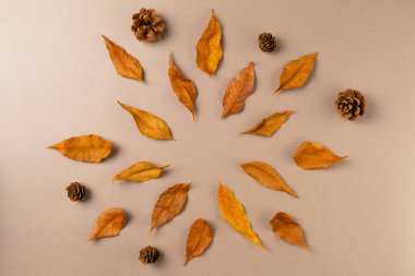 Bej arka plandaki yapraklardan sonbahar çerçevesi. Düz yatış, üst görünüm.