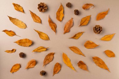 Bej arka plandaki yapraklardan sonbahar çerçevesi. Düz yatış, üst görünüm.