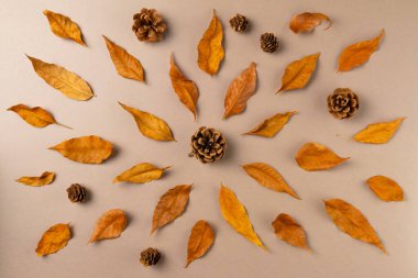 Bej arka plandaki yapraklardan sonbahar çerçevesi. Düz yatış, üst görünüm.