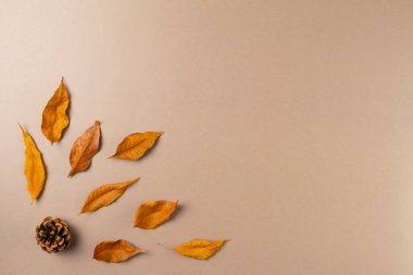 Bej arka planda yaprakları olan sonbahar arkaplanı. Üst görünüm, alanı kopyala