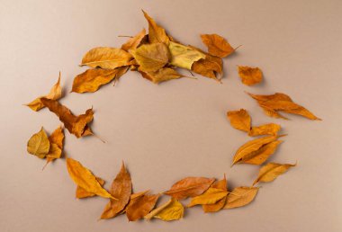 Bej arka plandaki yapraklardan sonbahar çerçevesi. Üst görünüm, alanı kopyala