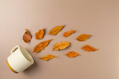 Bej arka planda sonbahar yapraklı kupa. Düz yatış, üst görünüm.