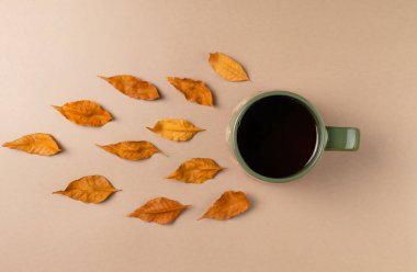 Bej arka planda yaprakları olan bir fincan çay. Düz yatış, üst görünüm.