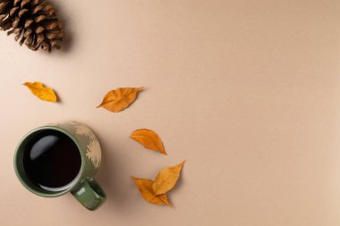 Bir fincan yapraklı çay ve bej arka planda koni. Düz yerde, üst tarafta. Boşluğu kopyala