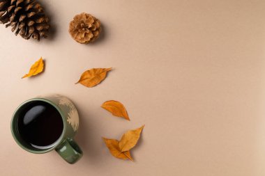 Bir fincan yapraklı çay ve bej arka planda koni. Düz yerde, üst tarafta. Boşluğu kopyala