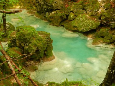 Doğanın güzel manzarası