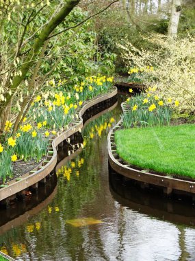 Parktaki güzel çiçekler.
