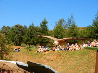 Akbaba ödül için geliyor.