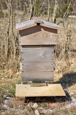 İsveç 'teki Vaestra Goetaland, Skaraborg, Bredebolet' te savaş arıları kovanı.
