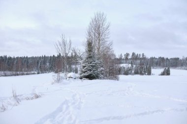 İsveç 'in Vestra Goetaland kentindeki Skaraborg' da, Bredebolet 'te güzel bir kış manzarası ve çiftliği var.