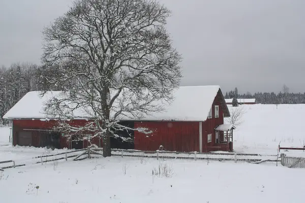 falured agricultural building on cold day in winter in Bredebolet in Skaraborg in Vaestra Goetaland in Sweden