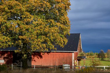 Skaraborg İsveç 'te güzel bir sonbahar gününde renkli ağaçlar, kara bulutlar ve güneş ışığı ile akşam havası.
