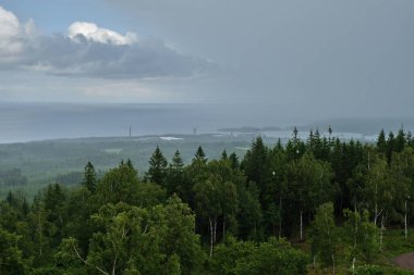 Temmuz 'da yağmurlu bir yaz gününde İsveç' teki Kinnekulle gezisi