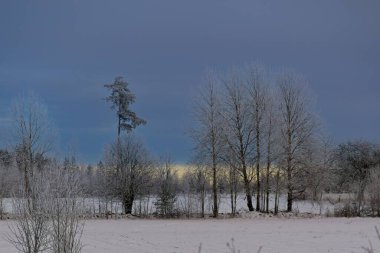 İsveç 'in Skaraborg şehrinde Noel boyunca peri masalı manzarası