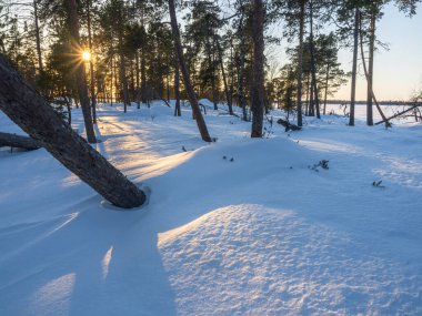 Finlandiya ormanında kış günbatımı