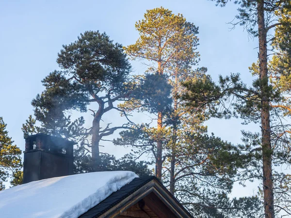 Finlandiya 'da ormandaki bir kulübede sigara içilen şömine.