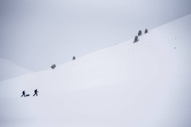 İki yürüyüşçü ve bir köpek beyaz bir kış manzarasında