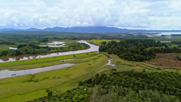 Air Відео Плантації Пальмової Олії Індонезії Річкою Проходить Через Гори — стокове відео