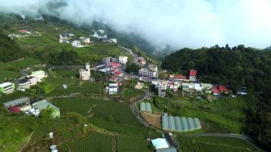 Alishan, Tayvan 'daki çay tarlalarının havadan 4K görüntüleri. Tayvan birçok çeşidiyle çay ürünleriyle ünlüdür..