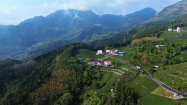Alishan, Tayvan 'daki çay tarlalarının havadan 4K görüntüleri. Tayvan birçok çeşidiyle çay ürünleriyle ünlüdür..