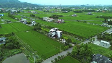 Tayvan, Yilan 'daki havadan 4K pirinç tarlaları. Açık mavi gökyüzü ile güzel bir manzara..