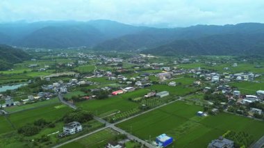 Tayvan, Yilan 'daki havadan 4K pirinç tarlaları. Açık mavi gökyüzü ile güzel bir manzara..