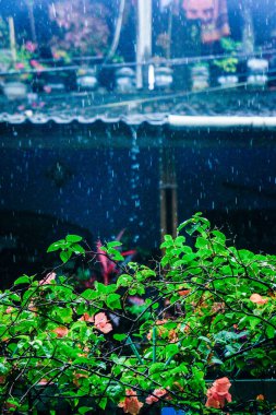 Evin dışında yağmur yağıyor.