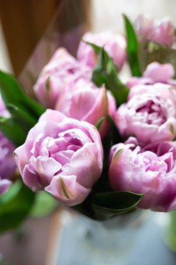 Güzel, taze leylak rengi laleler, üst manzara..