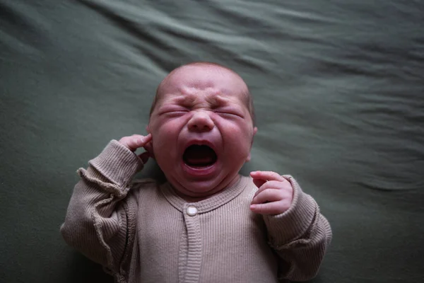 mixed race newborn baby lies wrapped in a green muslin swaddle.