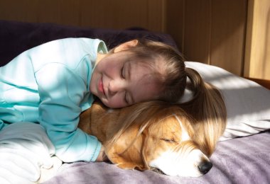 Küçük tatlı kız pencere kenarında oturan av köpeğine sarılıyor..