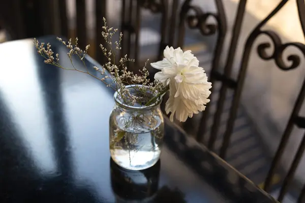 beautiful fresh white flower in a transparent small vase on a black table in a restaurant. minimalist composition.