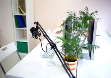 Bilgisayarı ve saksıda çiçeği olan ortak çalışma alanında rahat bir iş yeri..