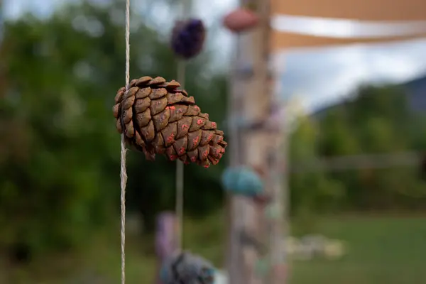 multi-colored fir cones on a rope. DIY craft.