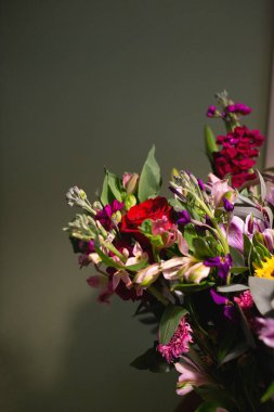 Durgun hayat. Siyah arka planda lüks bahar çiçekleri. Renkler çiçek açar. Düşük tuşlu fotoğraf.