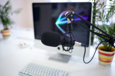 Bilgisayarı ve saksıda çiçeği olan ortak çalışma alanında rahat bir iş yeri..