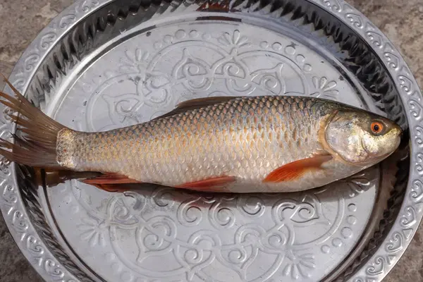 Whole Rui Fish on a dish. This fish is also called Rohu fish, Indian carp, Ruhi, or Roho labeo (Labeo rohita). It is a species of fish of the carp family, found in rivers in South Asia.