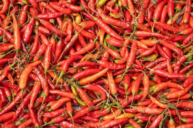 Taze kırmızı kırmızı kırmızı biber arka planı. Kuru kırmızı biber yemeğe renk ve ısı katan bir baharattır..