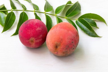 Fresh velvet apple fruits on light wooden surface. Its scientific name is Diospyros blancoi and it is known as gaab in Bangladesh. clipart