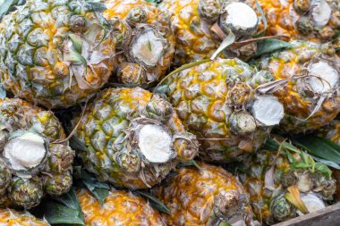 Taze ananas dokusu. Olgun ananaslara yakın çekim. Piyasada satılık tropikal meyve.