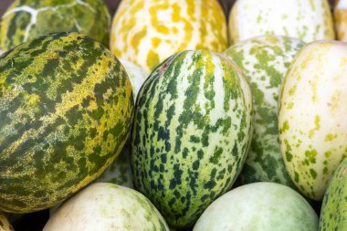 Olgun bangi meyvesi ya da miskkavunu (salatalık ezmesi) yakın plan. Satılık lezzetli kavunlar..