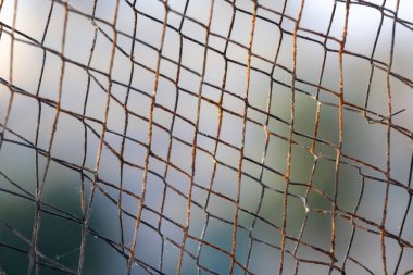 Paslı metal çitlere yakın plan, bulanık arka plan..