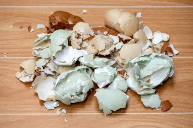 Kırık yumurta kabukları ahşap yüzeye saçılmış. Gübre ve bahçe kullanımı için ezilmiş yumurta kabukları da dahil olmak üzere mutfak atıklarının geri dönüşümü.