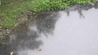 Kirlenmiş Narasunda Nehri, su ve çöp ile boğulmuş, su akışını engelliyor, Bangladeş 'teki kritik bir çevre sorununu vurguluyor.