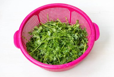 Taze kişniş yaprakları (Bangladeş 'te kişniş olarak da bilinen Coriandrum sativum) açık ahşap bir yüzey üzerinde pembe bir plastik sepette sergilenmektedir..