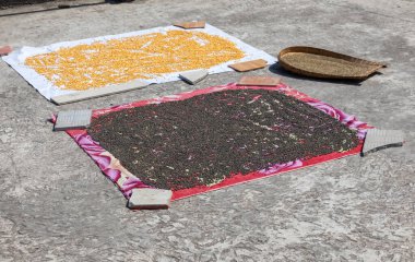 Nohut, siyah gram veya urad fasülyesi (Vigna mungo) ve kimyon baharatları, çatıda güneşte kurutulmak üzere kağıt ve kumaşlara saçılmıştır..