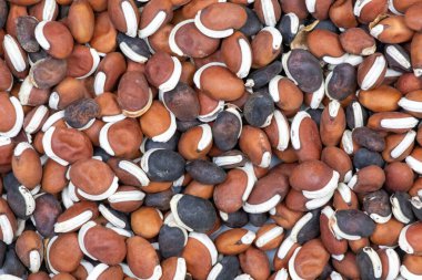 Sümbül Fasulyesi (Labaratuar purpureus) Tohumları - Yakın Doku Arkaplanı