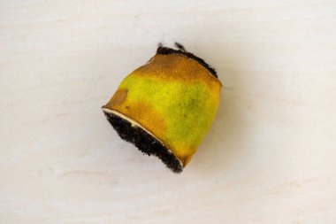 Hafif ahşap üzerinde çürük yarım limon. Bir ev mutfağında günlerce dilimlenmiş ve çürümüş. Üst görünüm.