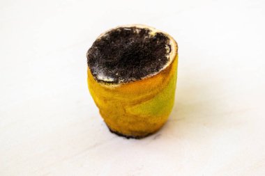 Çürümüş, yarısı kesilmiş bir limon dilimi. Bir ev mutfağında bırakılmış, ileri derecede çürüme izleri var..