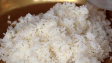 Lezzetli Shorshe Ilish 'in (hardal ezmeli körili Hilsa balığı) yakın çekimi pirinç ile servis edilir. Popüler Bengali yemeği.