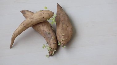 Tahtada yeşil filiz bulunan tatlı patates (Ipomoea batatas). Taze organik kök sebze. Sağlıklı beslenme konsepti. HD görüntüler.